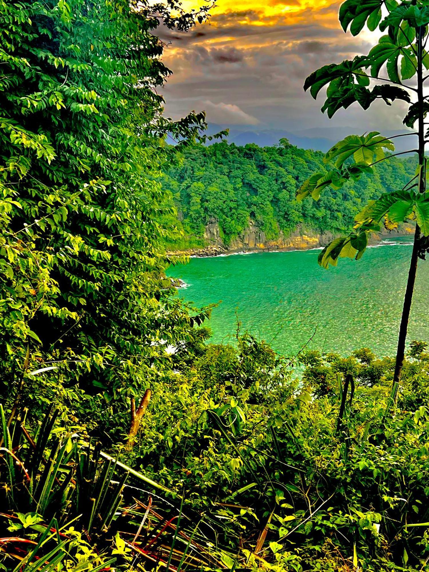 Beachfront Paradise Manuel Antonio Exterior foto