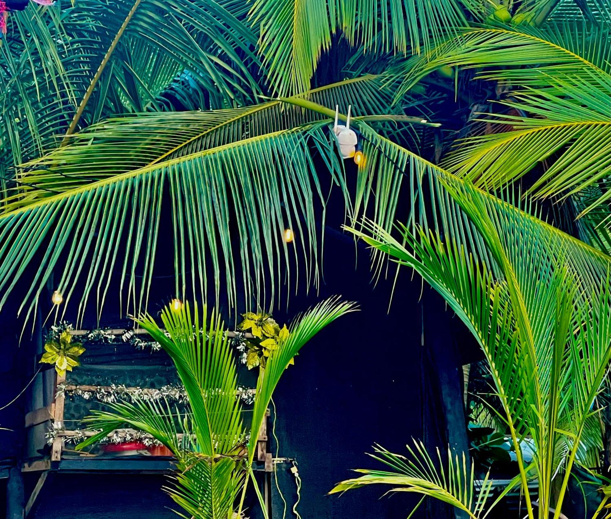 Beachfront Paradise Manuel Antonio Exterior foto