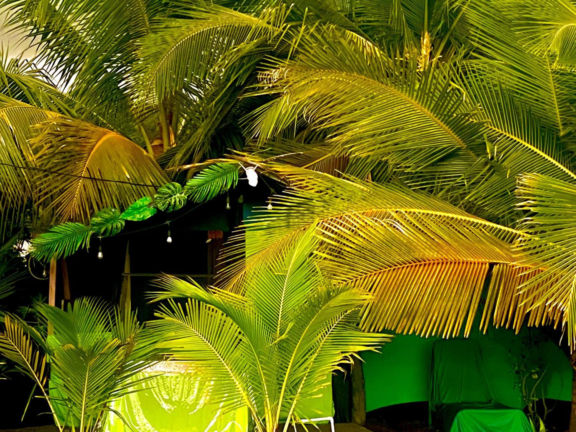 Beachfront Paradise Manuel Antonio Exterior foto